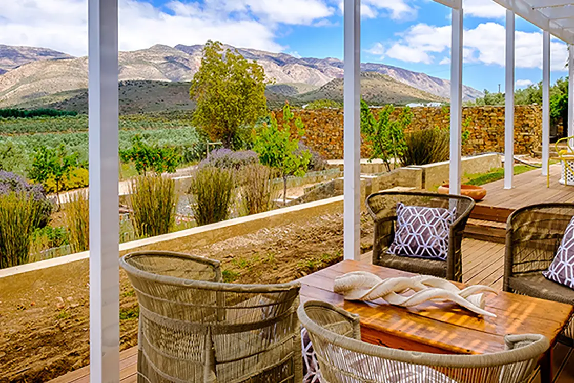 Perfect Hideaways property for sale: A patio of the manor house, which looks over the olive-oil producing farm, the patio features comfortable wicker chairs around a wooden table. Views of the Karoo mountains in the background. Olive Farm in Prince Albert.