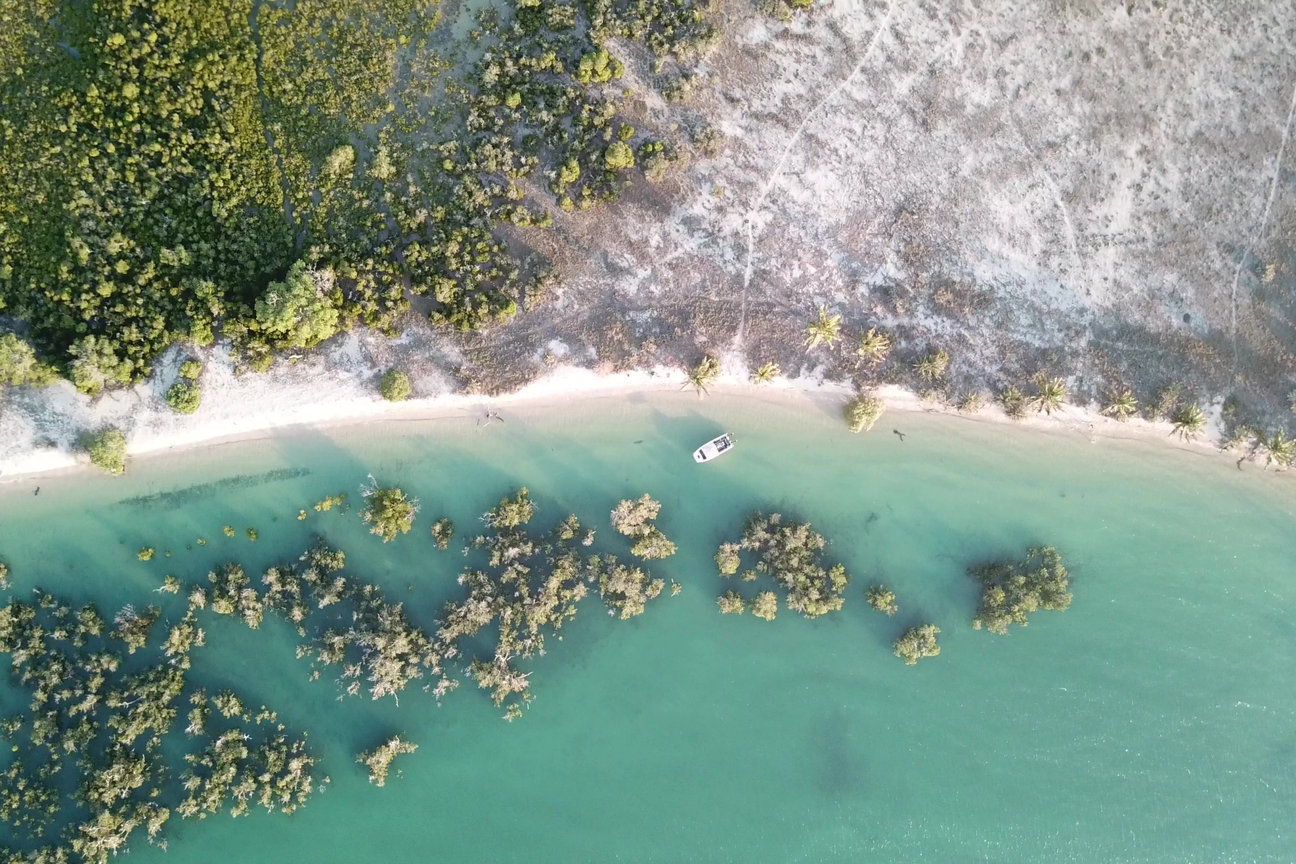 Perfect Hideaways real estate property: An aerial photograph, showcasing the mangroves of the San Sebastian Peninsula, which protrude from the water, and grow on land. The Sanctuary Private Reserve, Mozambique.