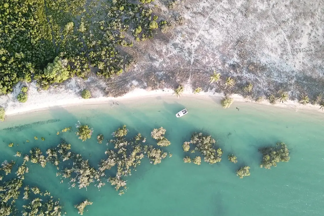 Perfect Hideaways real estate property: An aerial photograph, showcasing the mangroves of the San Sebastian Peninsula, which grow along the coastline, and in the shallow waters alongside the beach. The Sanctuary Private Reserve, Mozambique.