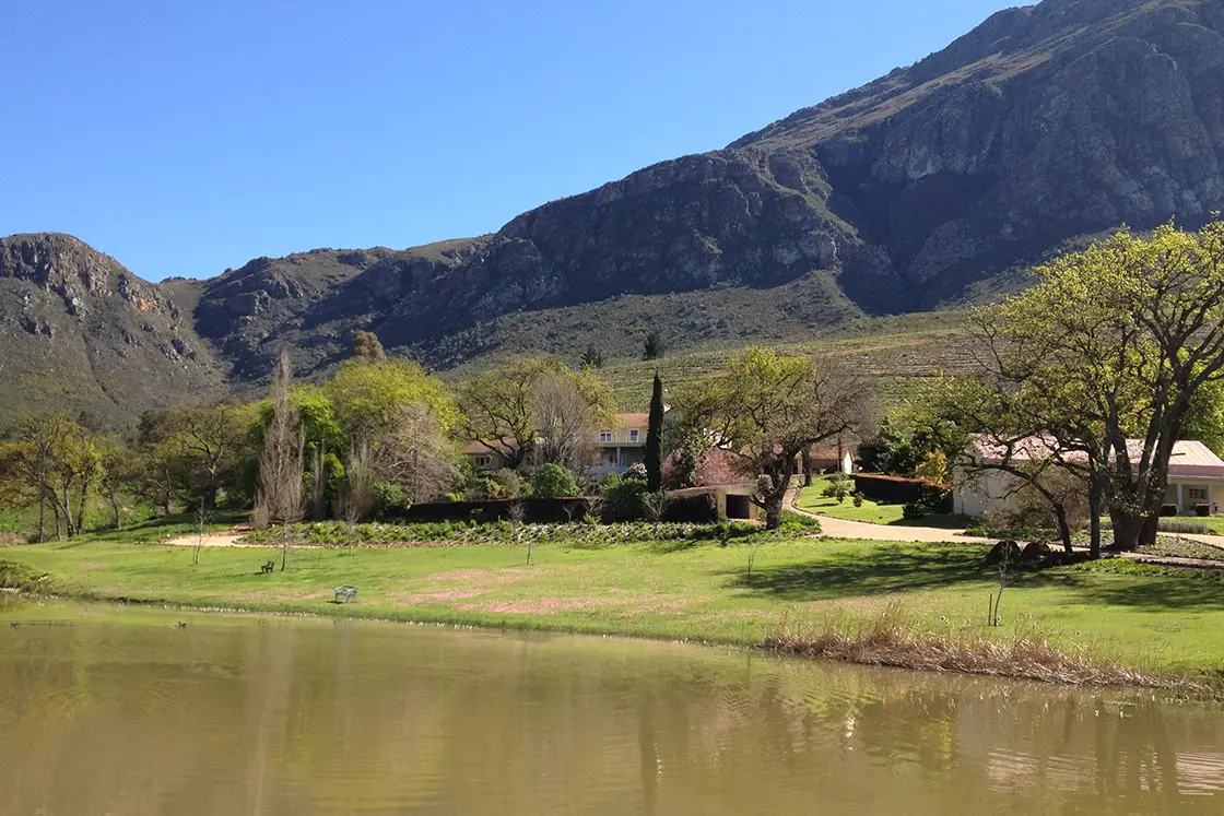 Perfect Hideaways property for sale: Multiple houses on the farm land for sale, which features a dam on the property, with a large mountain in the background. Tulbagh Olive Farm, Cape Winelands.