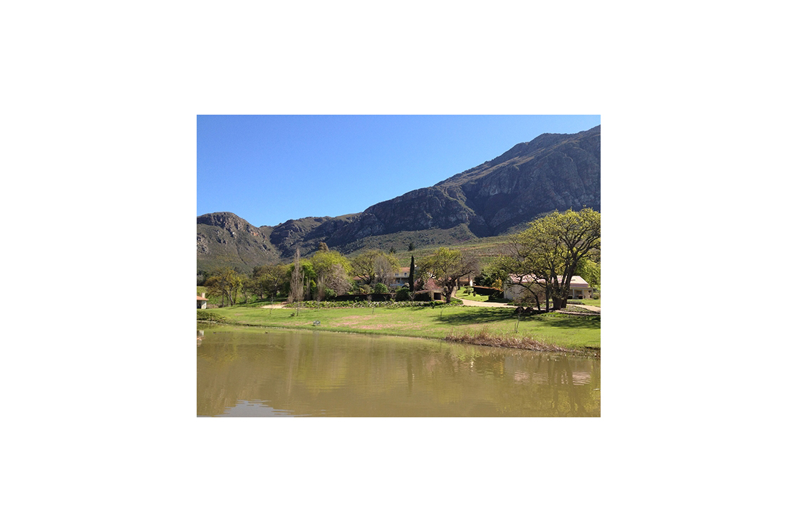 Tulbagh Olive Farm for sale-14