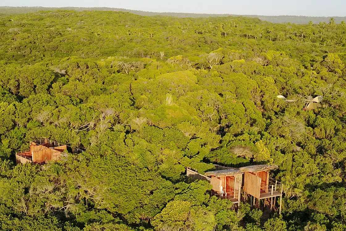 Perfect Hideaways real estate property: Three wooden lookout structures in the midst of the trees and wild landscapes. Dunes de Dovela Lodge, Mozambique.