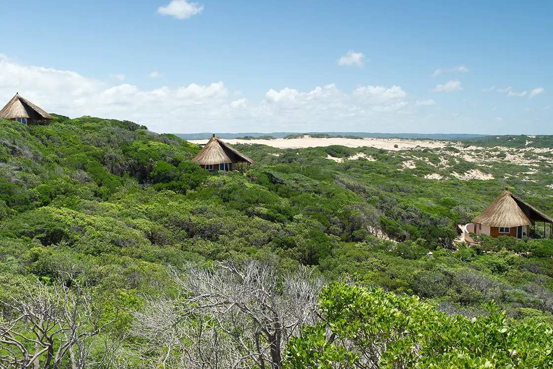 Perfect Hideaways real estate property: The beach huts are immersed in the seaside landscapes. Dunes de Dovela Lodge, Mozambique.