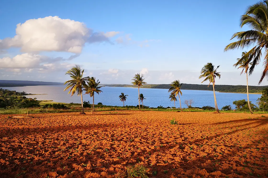 Perfect Hideaways real estate property: An image from across the lagoon on rustic farming land, with palm trees and a blue sky. Dunes de Dovela Lodge, Mozambique.