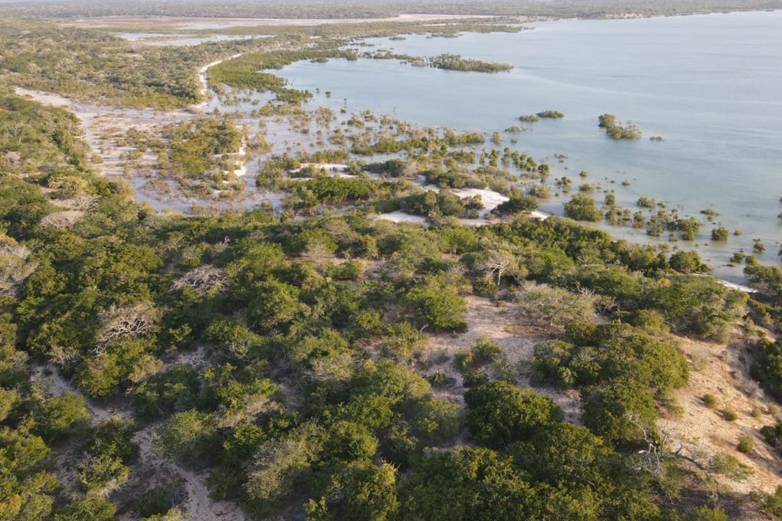 The Sanctuary, San Sebastian Peninsula, Mozambique – Site 4-7