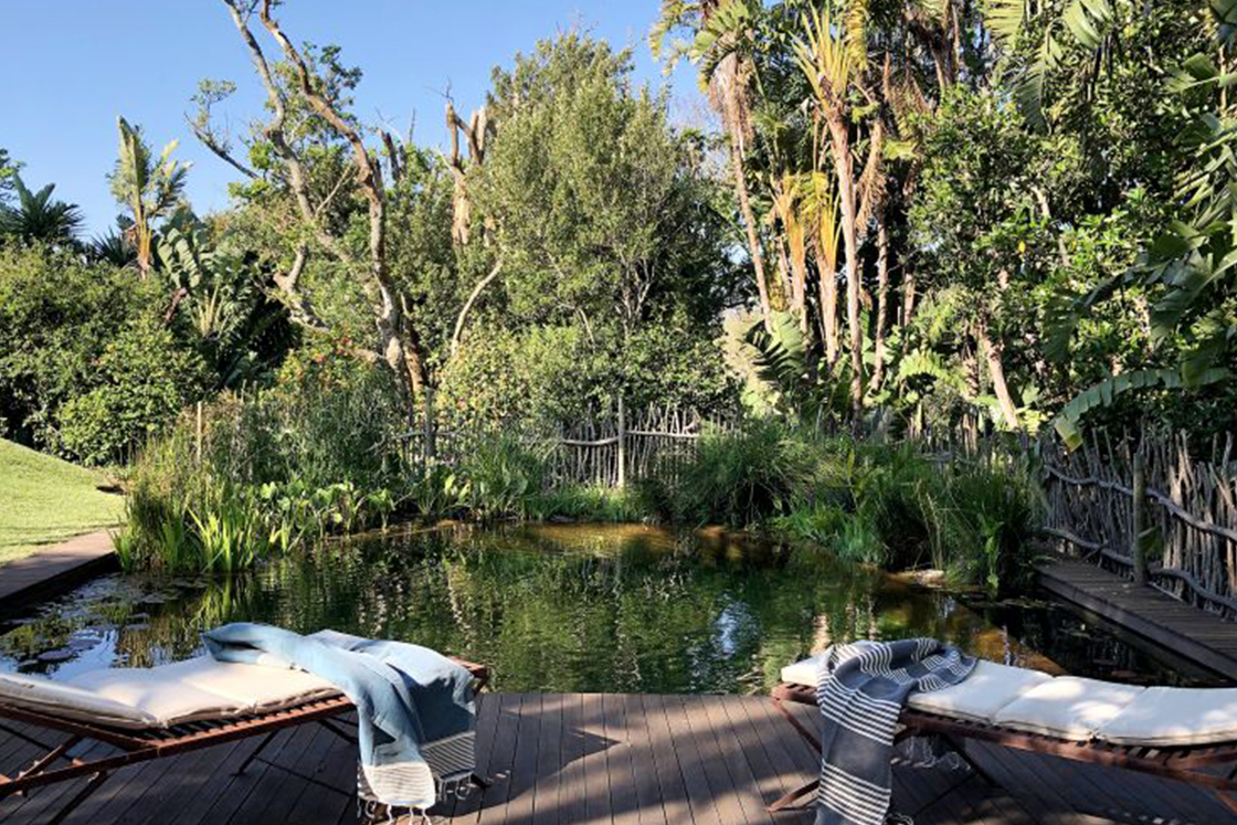 Wooden deck and deck chairs beside a natural outdoor pond, thick vegetation borders the pond and surrounding garden.