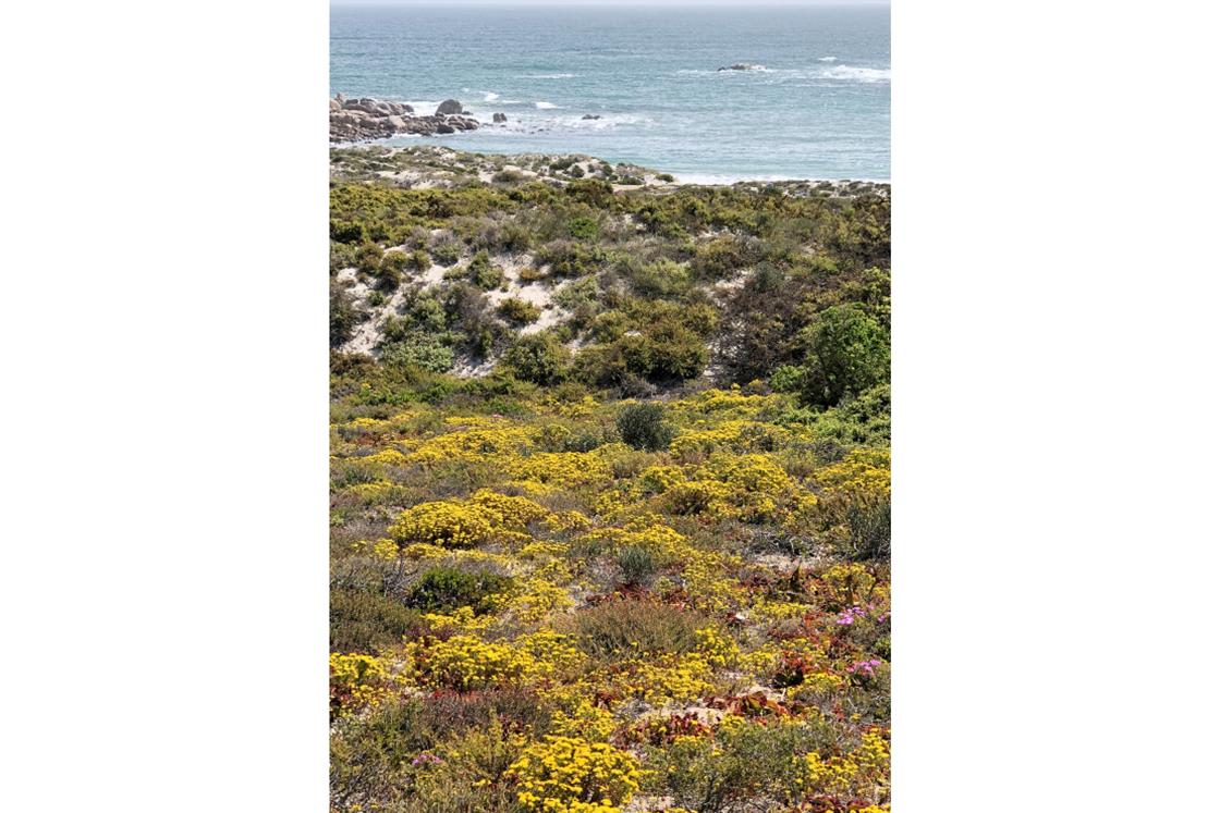 Whale Beach Cottage, Groot Paternoster Private Nature Reserve, For Sale-20