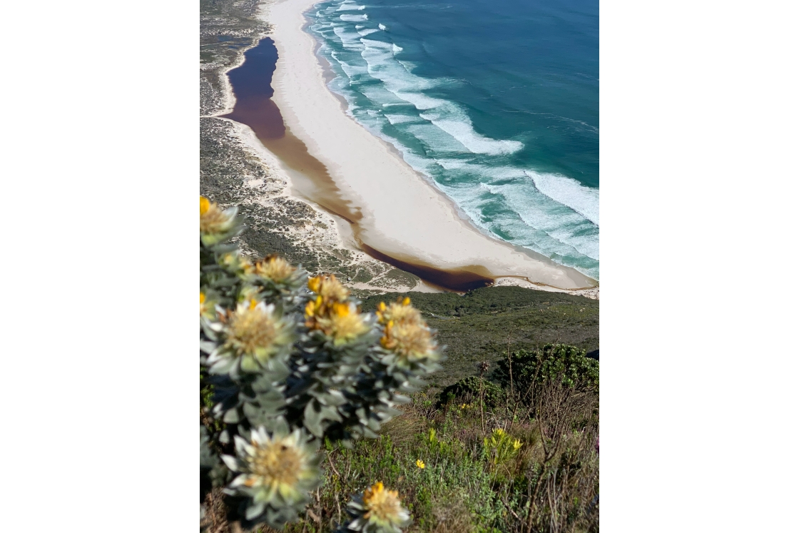 Scenic landscape of Noordehoek's long beach, Cape Town, South Africa, featuring dramatic cliffs meeting the Atlantic Ocean.