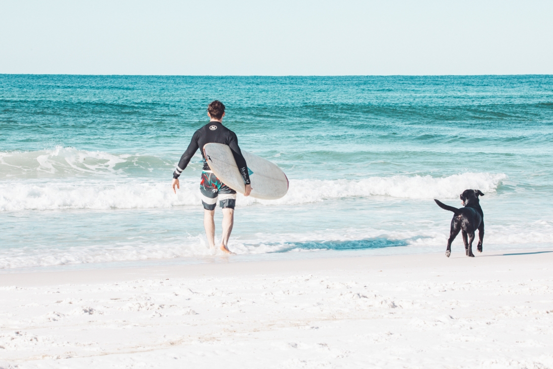 A man and his dog stroll along the sandy beach towards a blue ocean.