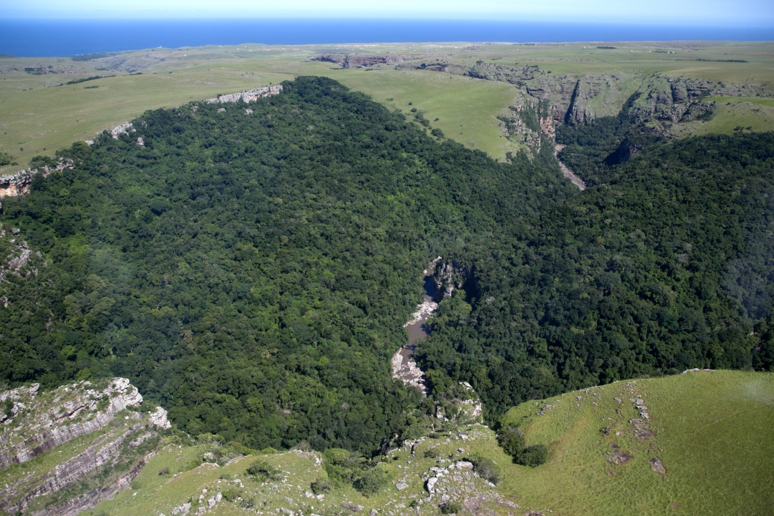 Mkambathi-Nature-Reserve-The-Wild-Coast-Eastern-Cape-Plots-for-Sale 12