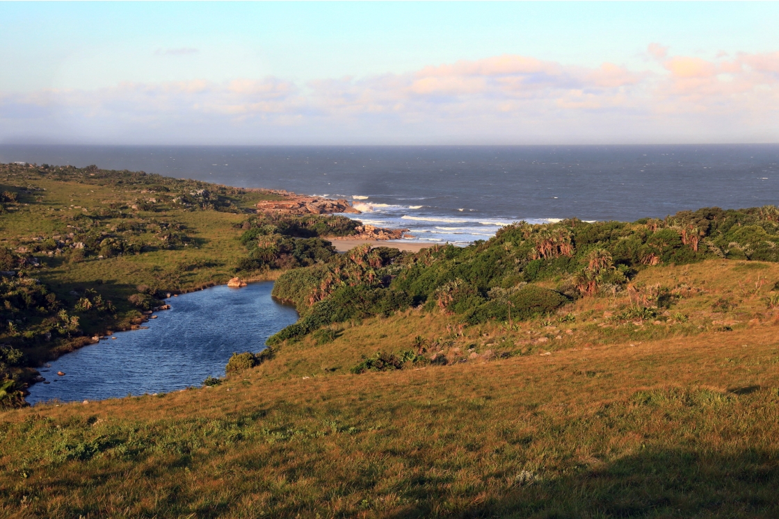 Mkambathi-Nature-Reserve-The-Wild-Coast-Eastern-Cape-Plots-for-Sale 28