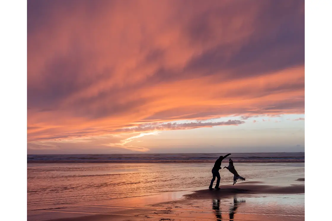 Perfect Hideaways property for sale: Brilliant pink and purple clouds during sunset, as a man plays with his dog on the beach. Trekoskraal, Paternoster.