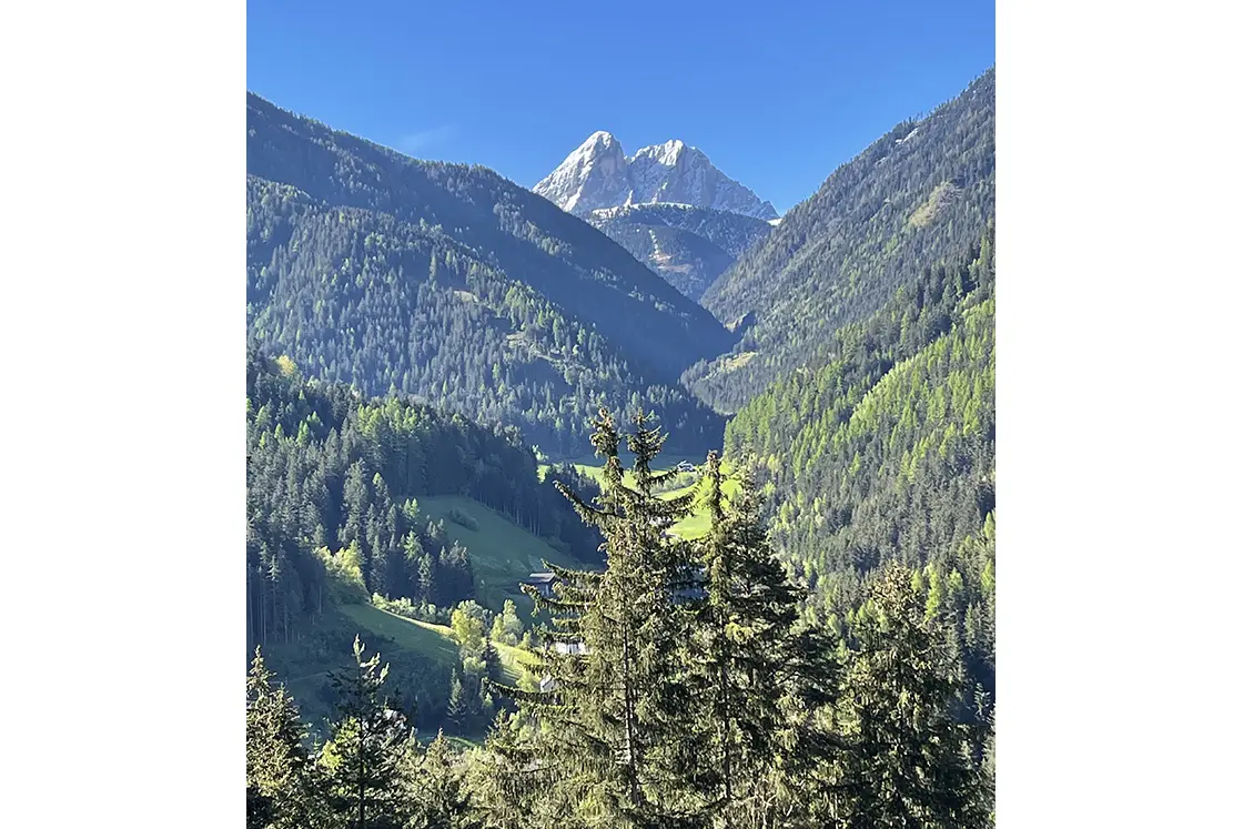 Perfect Hideaways real estate property: A view of the snow-topped Dolomite mountain range from the base of a valley with lush vegetation. Ragginerhof, Italy.