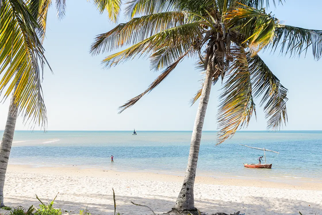 Perfect Hideaways real estate property: A beach with open sea views and palm trees. Villa Tanga, Benguerra Island.