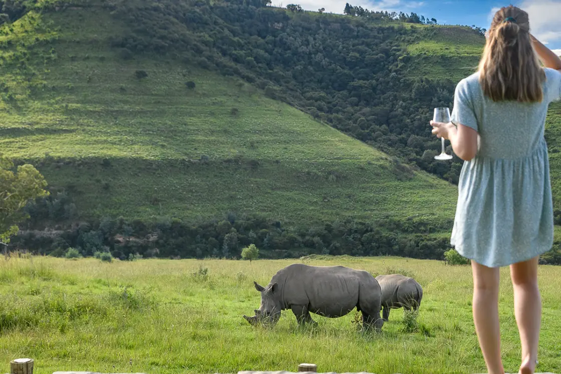 Perfect Hideaways real estate property: A guest stands on a stone wall watching two white rhinoceros grazing, with the view of a lush hillside in the background. Zulu Waters Game Reserve, Natal Midlands.