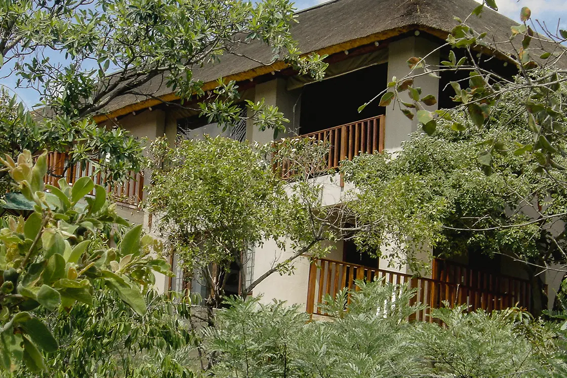 Perfect Hideaways real estate property: The thatch lodge exterior from an upward angle through the trees. Mabula Game Reserve, Limpopo.