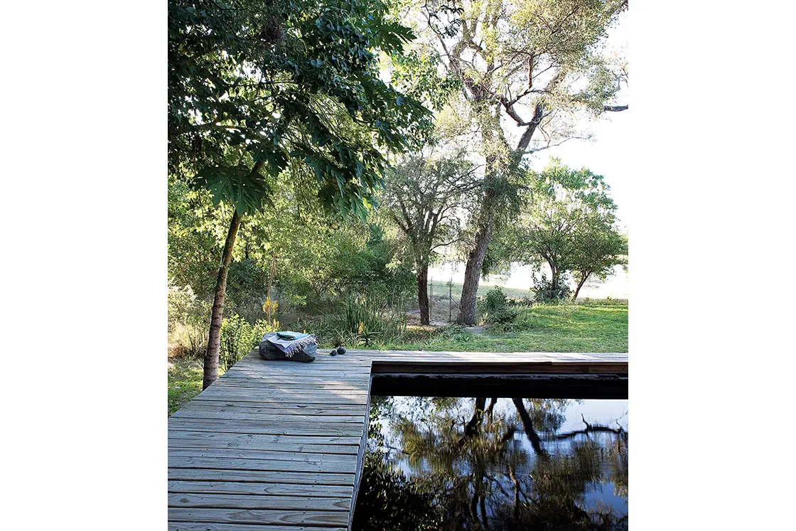 Perfect Hideaways real estate property: A wooden deck and a pool, surrounded by vegetation. Otto House, Okavango Delta.