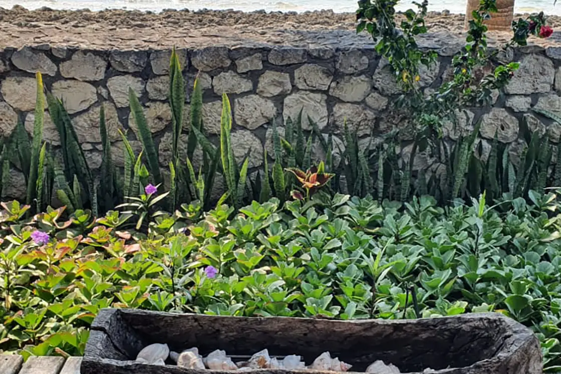 Perfect Hideaways real estate property: An organised garden beside a walkway between guest lodgings, for decorative purposes. Villa 1b Beach House, Vilanculos.