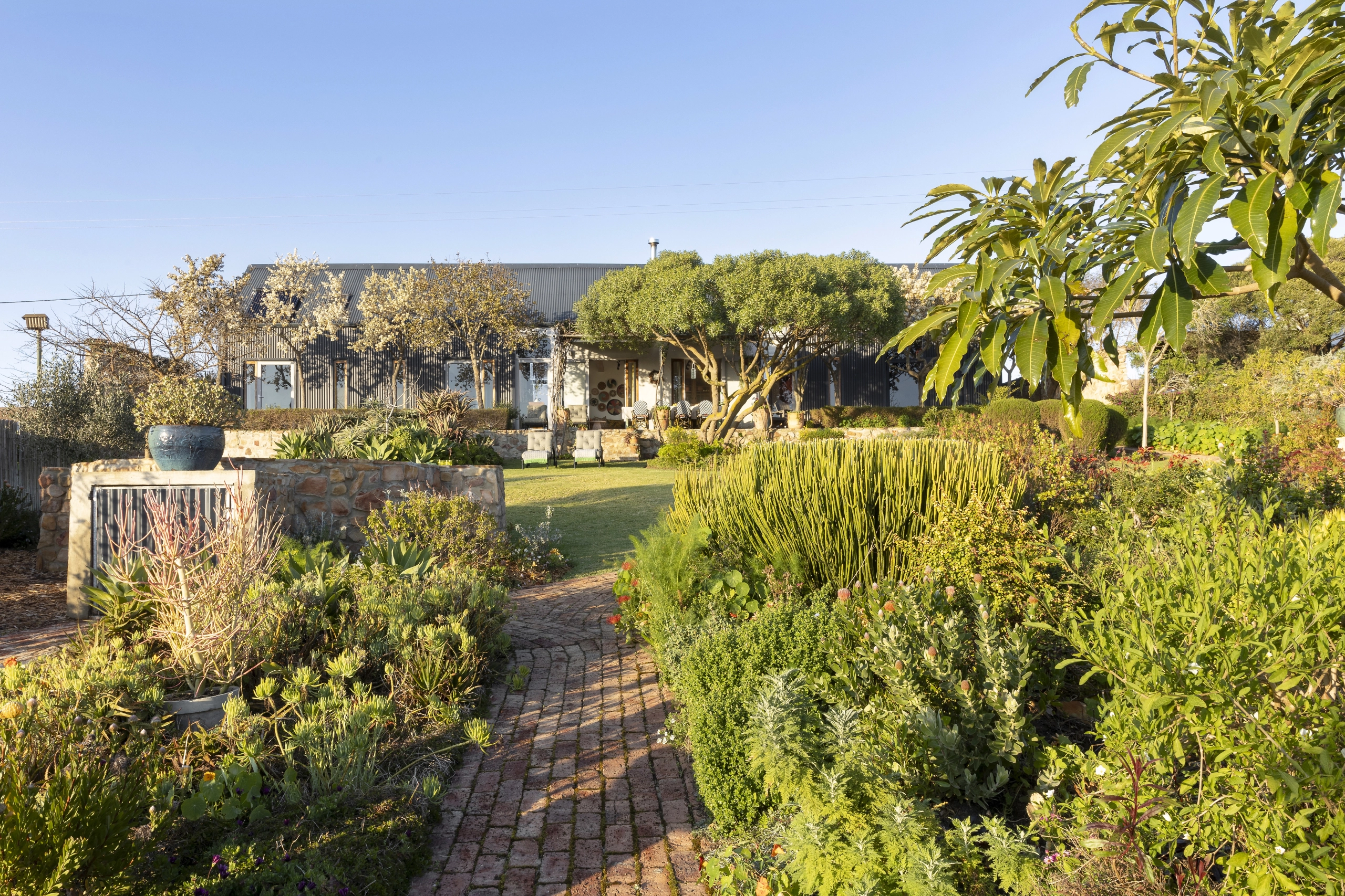 Perfect Hideaways real estate property: A lush garden featuring various plants and trees, situated in front of a house. Barncroft in Napier.