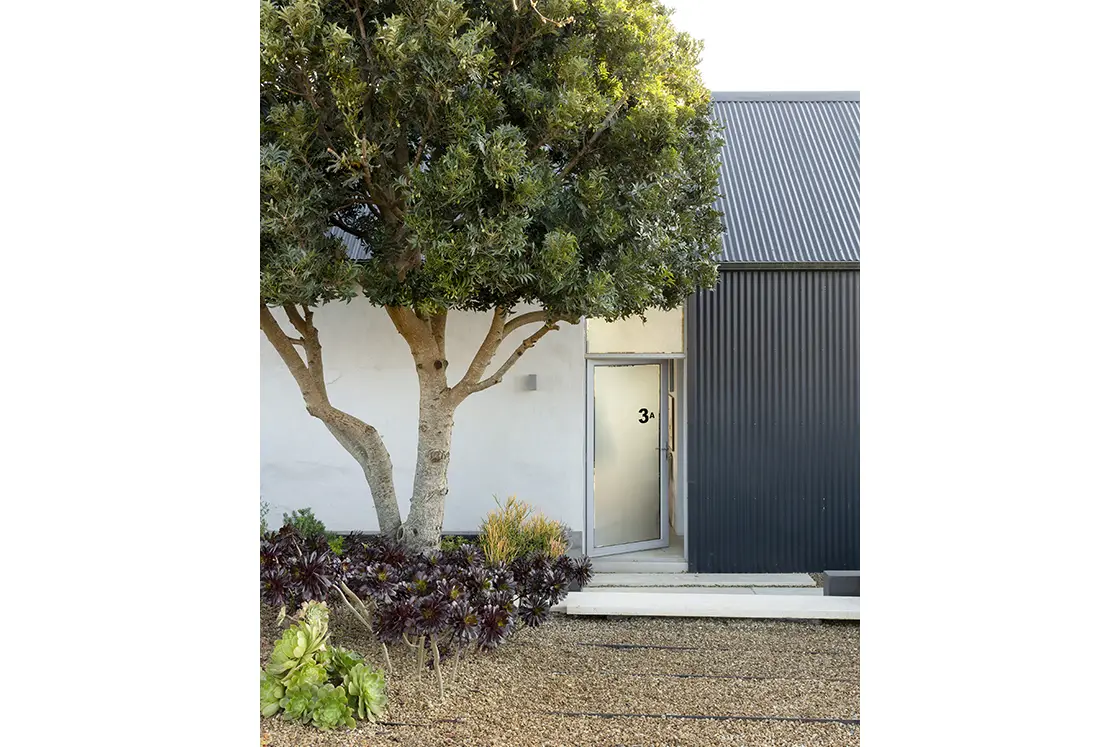 Perfect Hideaways real estate property: Front door to the barn-style home with a tree in the nearby front garden. Barncroft in Napier.