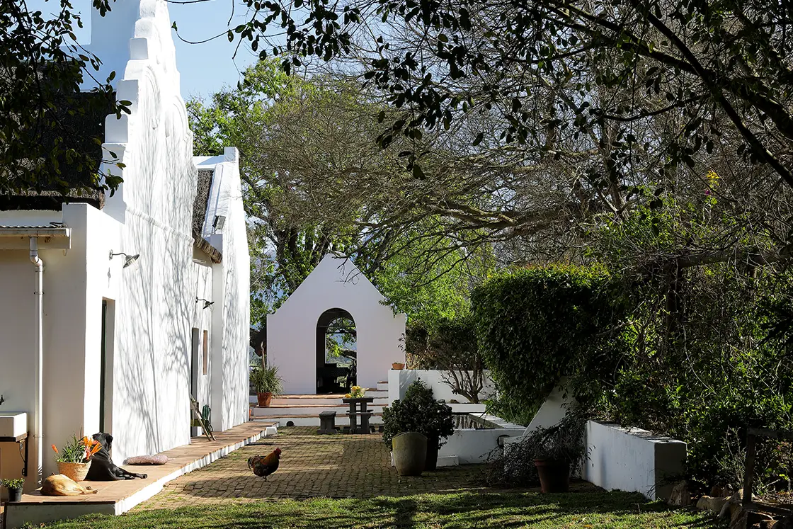 Perfect Hideaways real estate property: Cobblestone courtyard featuring outside wash station, surrounded by Cape Dutch architecture and garden hedge. A lone chicken stands in the courtyard. Zeekoegat Farm in Riversdale.