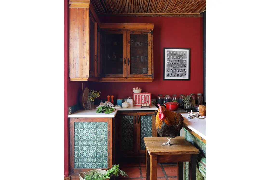 Perfect Hideaways real estate property: Terracotta floors and red walls surrounded by wooden cabinets and storage. The cupboards have ornate inlay blue tiles. A chicken stands on a chair in the middle of the kitchen. Zeekoegat Farm in Riversdale.