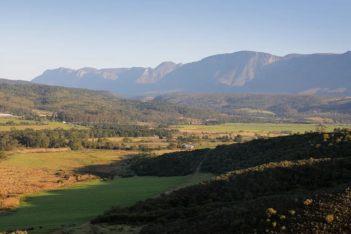 Perfect Hideaways real estate property: A landscape vista of the Riversdale area, showcasing the broad open fields of farmland, and the densely forested hillsides which are typical for this region, a mountain range is visible in the background. Zeekoegat Farm in Riversdale.