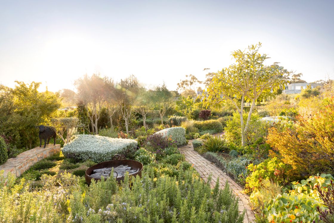 Cobbled pathway through curated garden leading to contemporary barn style home. Overberg.