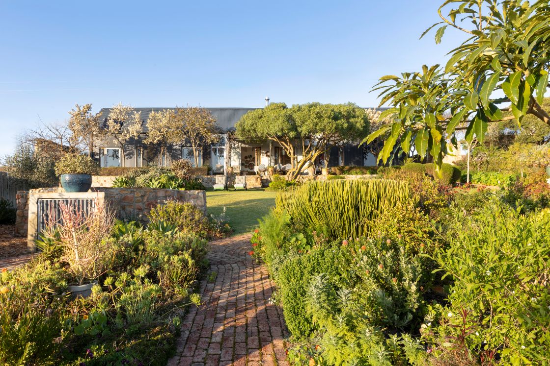 A lush garden featuring various plants and trees, situated in front of a house. Overberg.