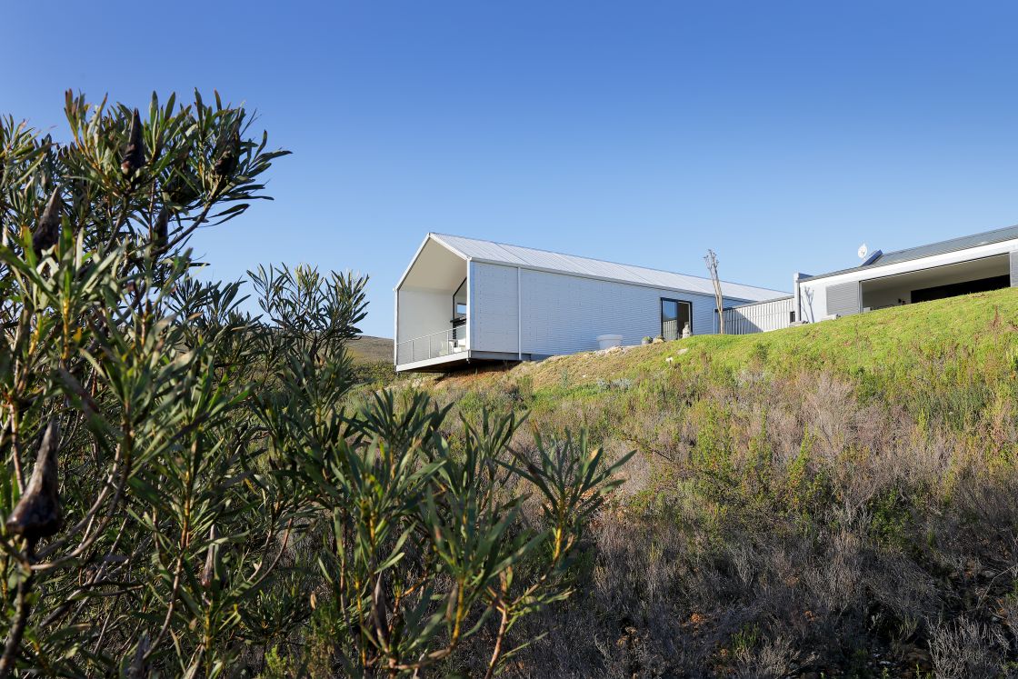 A modern house perched on a hillside, framed by fynbos trees and green grass.