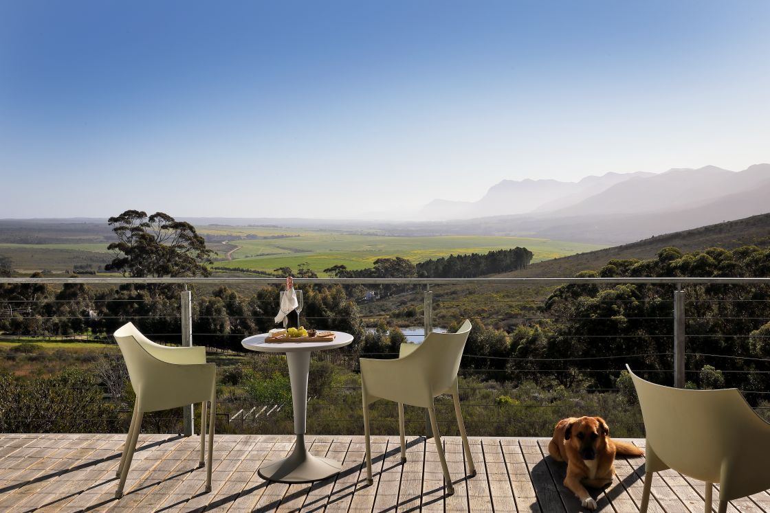 A dog perched on a patio, with a picturesque mountain view, captures the stanford valley and farm land.