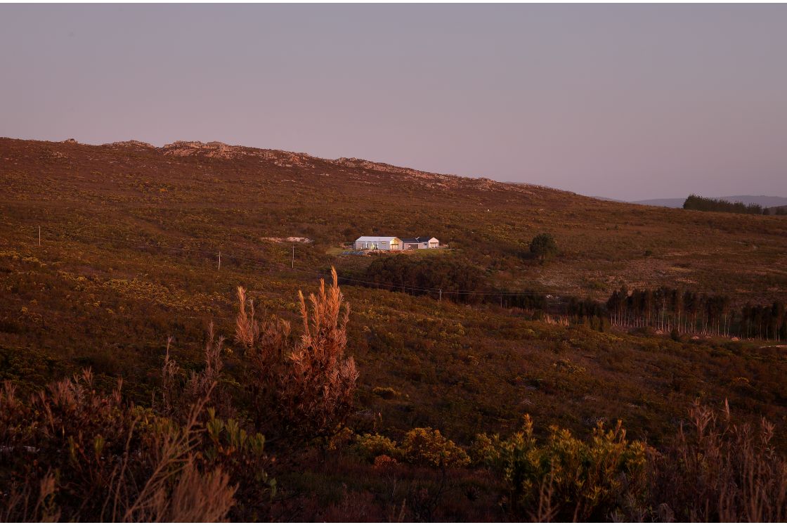 The house perched on a hillside, showing the expansive farm lands and privacy.