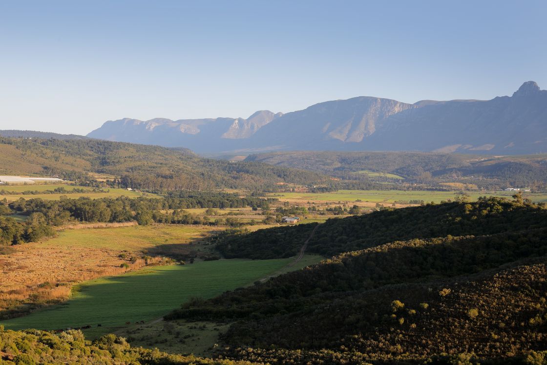 Large landscape vista of farmland in the Riversdale area. Garden Route.