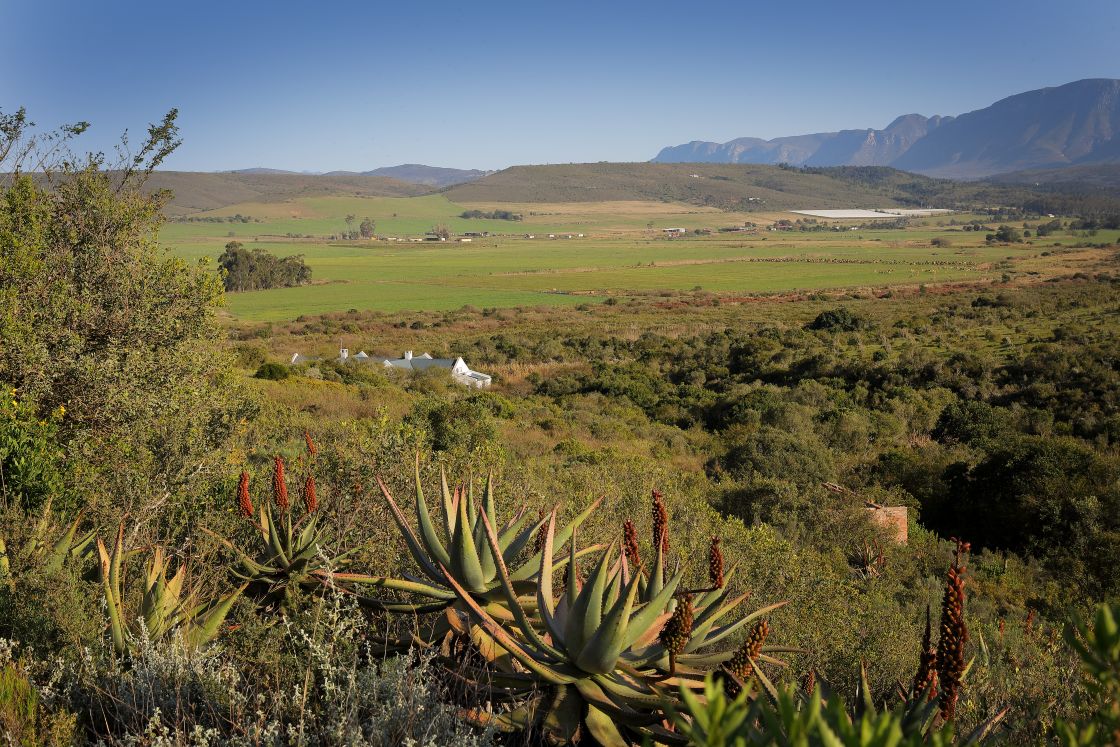 Wide angle of farm land with hills and mountains. Rental cottages surrounded by wild vegetation.