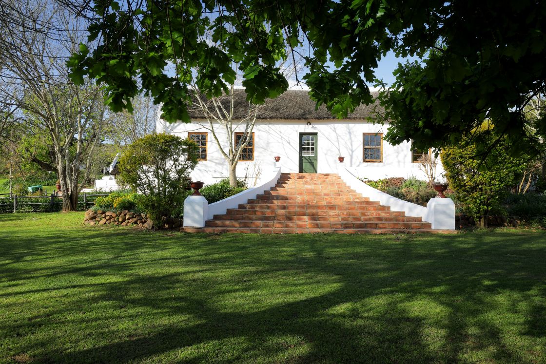 Terracotta steps leading up to Cape-Dutch farm style home. Large garden area.