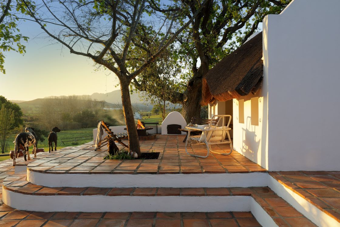 Outdoor steps to summer house with braai/fireplace, seating area, and a few dogs.