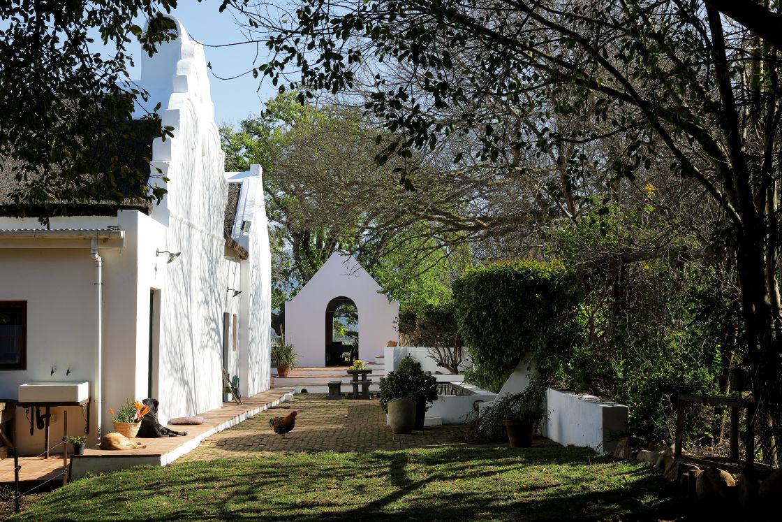 Cobblestone courtyard featuring outside wash station, surrounded by Cape Dutch architecture and garden hedge. A lone chicken stands in the courtyard.