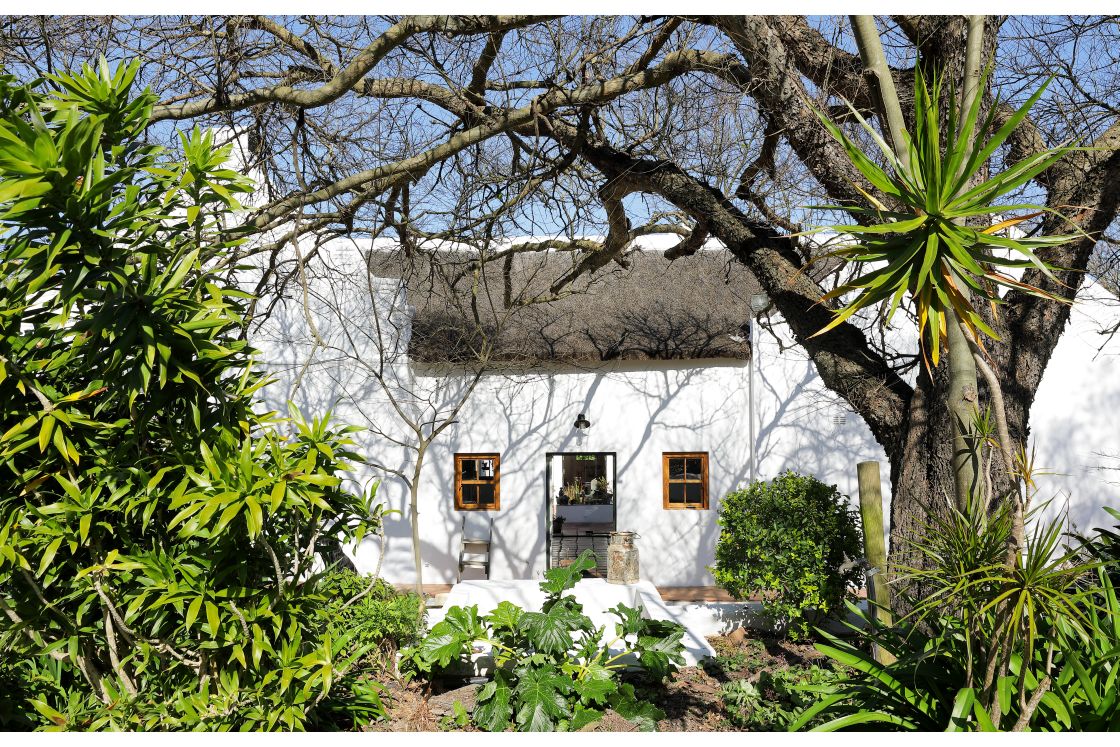 Garden with palmiet vegetation, behind this, a Cape Dutch style homestead with a central courtyard.