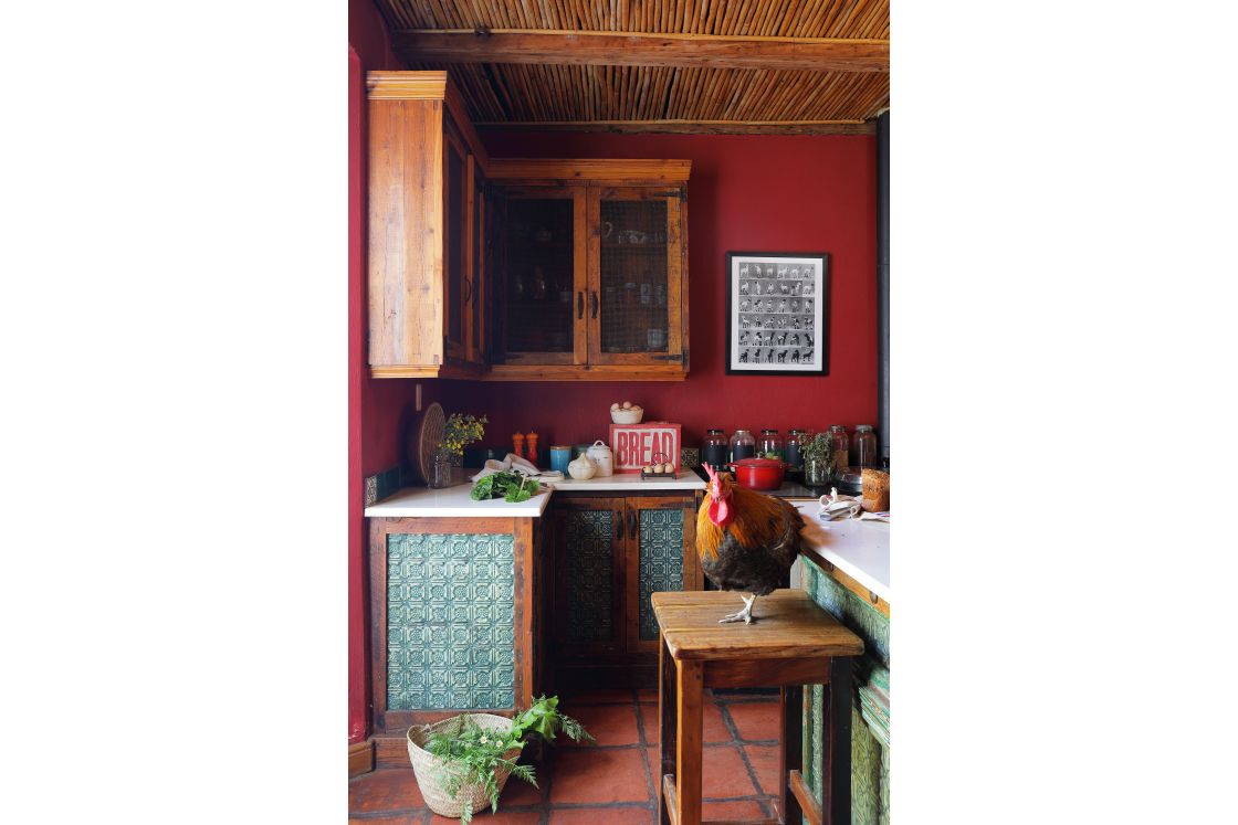 Terracotta floors and red walls surrounded by wooden cabinets and storage. The cupboards have ornate inlay blue tiles. A chicken stands on a chair in the middle of the kitchen.