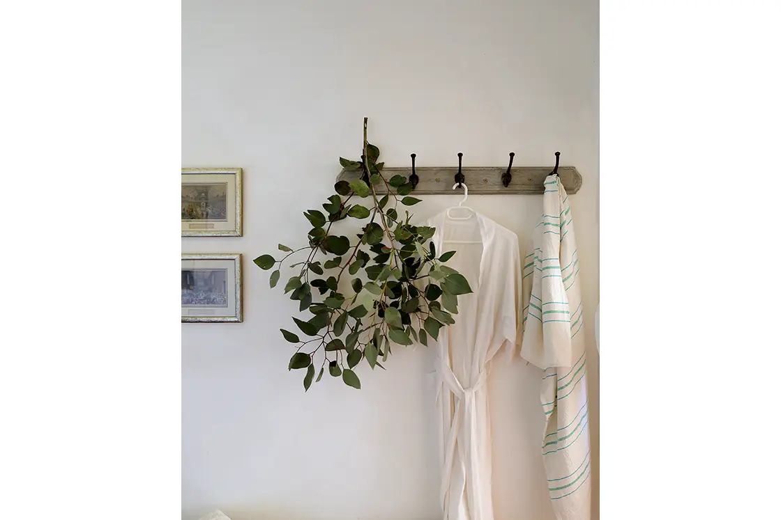 Perfect Hideaways real estate property: Clothes and decorative branches placed on the wall hanger. The White House in Barrydale.