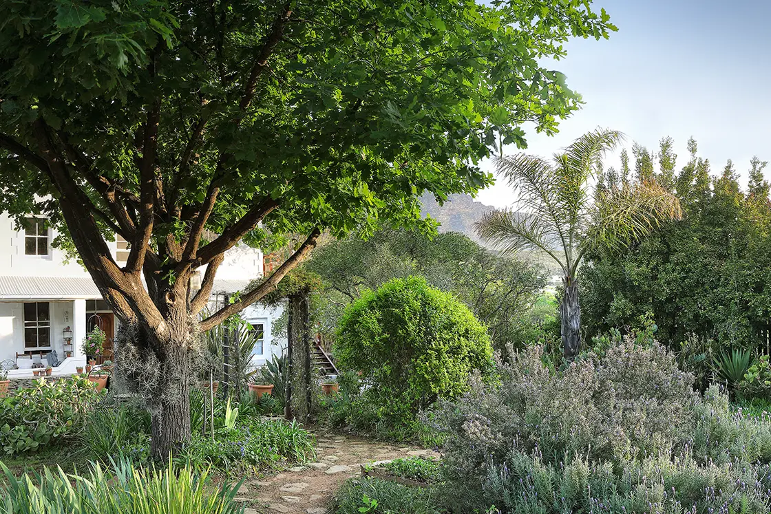 Perfect Hideaways real estate property: Natural stone garden pathway and lush garden leading toward a heritage house. The White House in Barrydale.