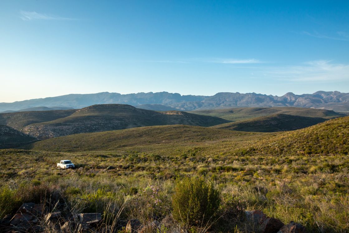 A 4 x 4 travelling along a dirt road amongst lush fynbos vegetation, showcasing the peaks and valleys of the untouched countryside.