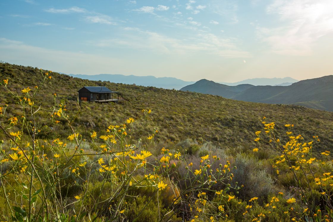 A small homestead on a hillside, featuring views of the surrounding fynbos, and distant mountains.