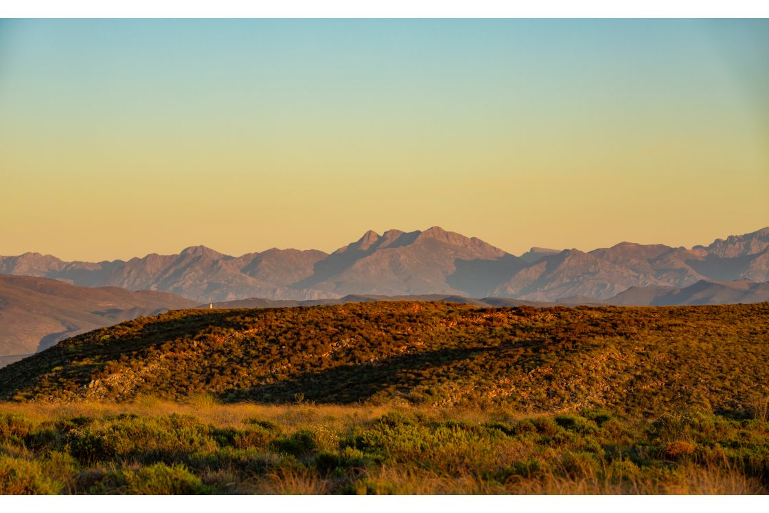 A sunrise over undulating hills populated by dense fynbos, and surrounded by extensive mountain ranges.