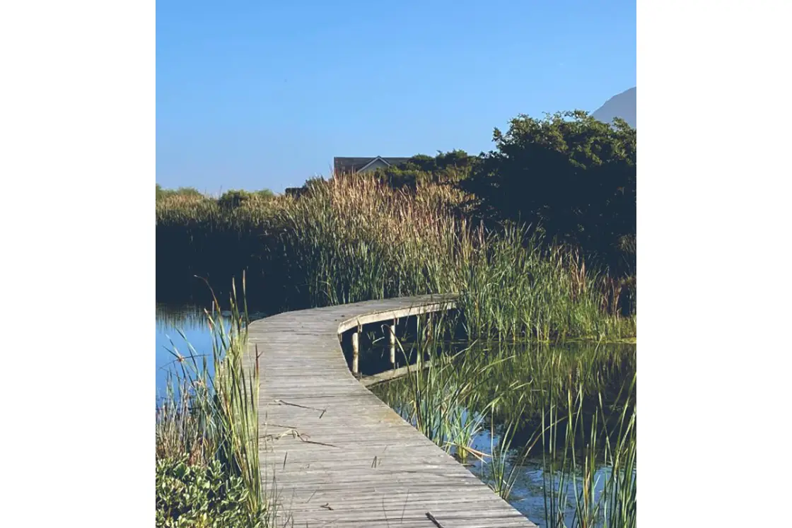 Perfect Hideaways property for sale: A boardwalk above the saltwater wetland, which is surrounded by tall reeds, with a residential property visible on one of the natural islands in the wetlands. Waterside. Noordhoek.